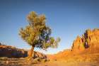 Saudi Arabia, Tabuk, Al-Disah. Desert Prince Mohammed bin Salman Natural Reserve. Art Print